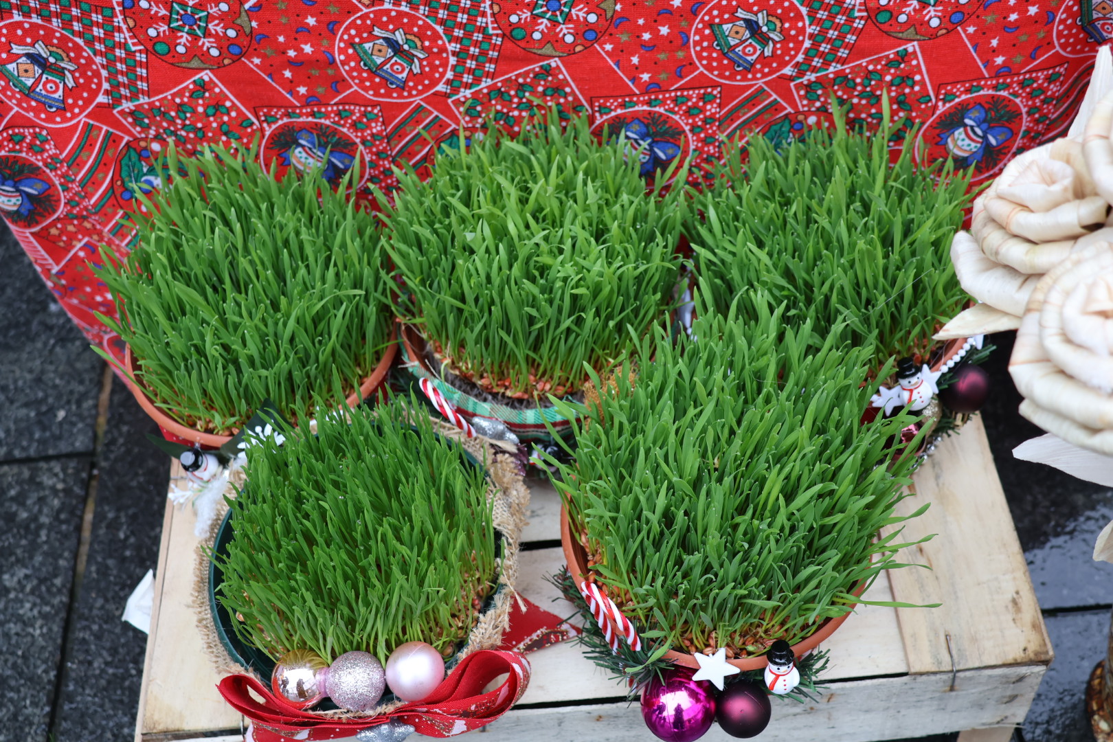 Adventska košarica Čakovec (24) Adventska košarica Čakovec (24)