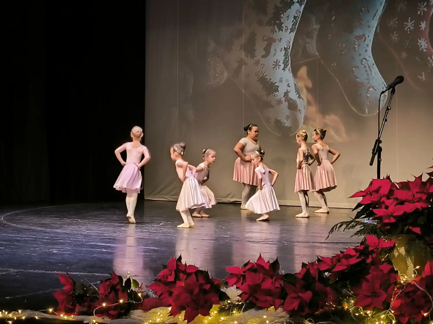 Adventski koncert Umjetničke škole Miroslav Magdalenić Blagdanska čarolija u Čakovcu (23) Adventski koncert Umjetničke škole Miroslav Magdalenić Blagdanska čarolija u Čakovcu (23)