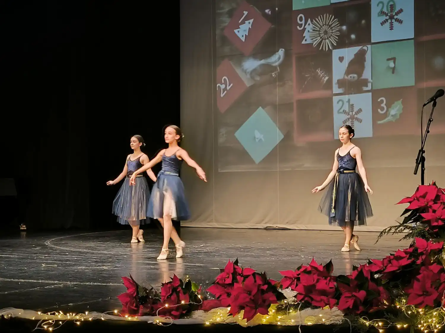 Adventski koncert Umjetničke škole Miroslav Magdalenić Blagdanska čarolija u Čakovcu (27) Adventski koncert Umjetničke škole Miroslav Magdalenić Blagdanska čarolija u Čakovcu (27)