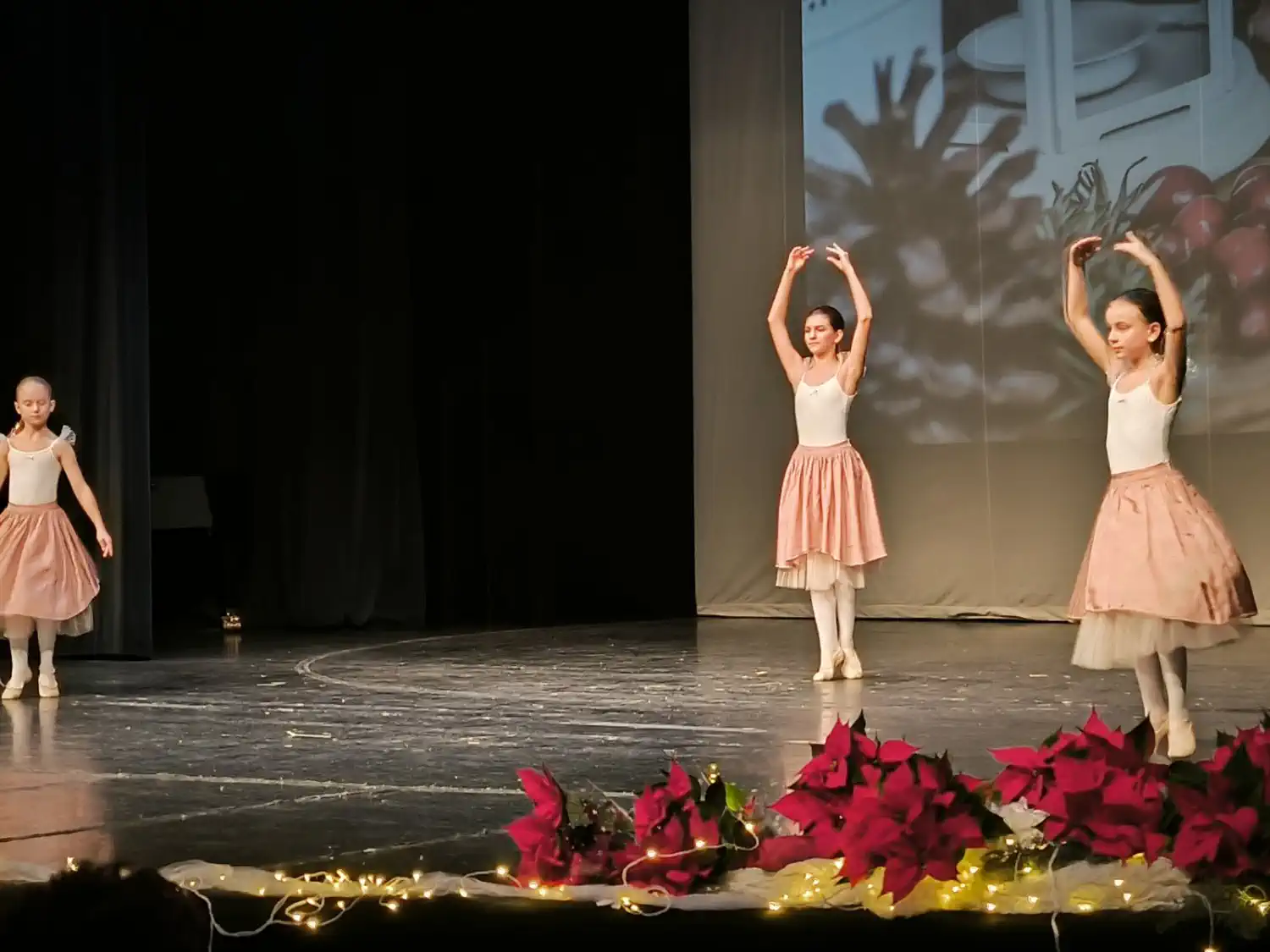 Adventski koncert Umjetničke škole Miroslav Magdalenić Blagdanska čarolija u Čakovcu (3) Adventski koncert Umjetničke škole Miroslav Magdalenić Blagdanska čarolija u Čakovcu (3)