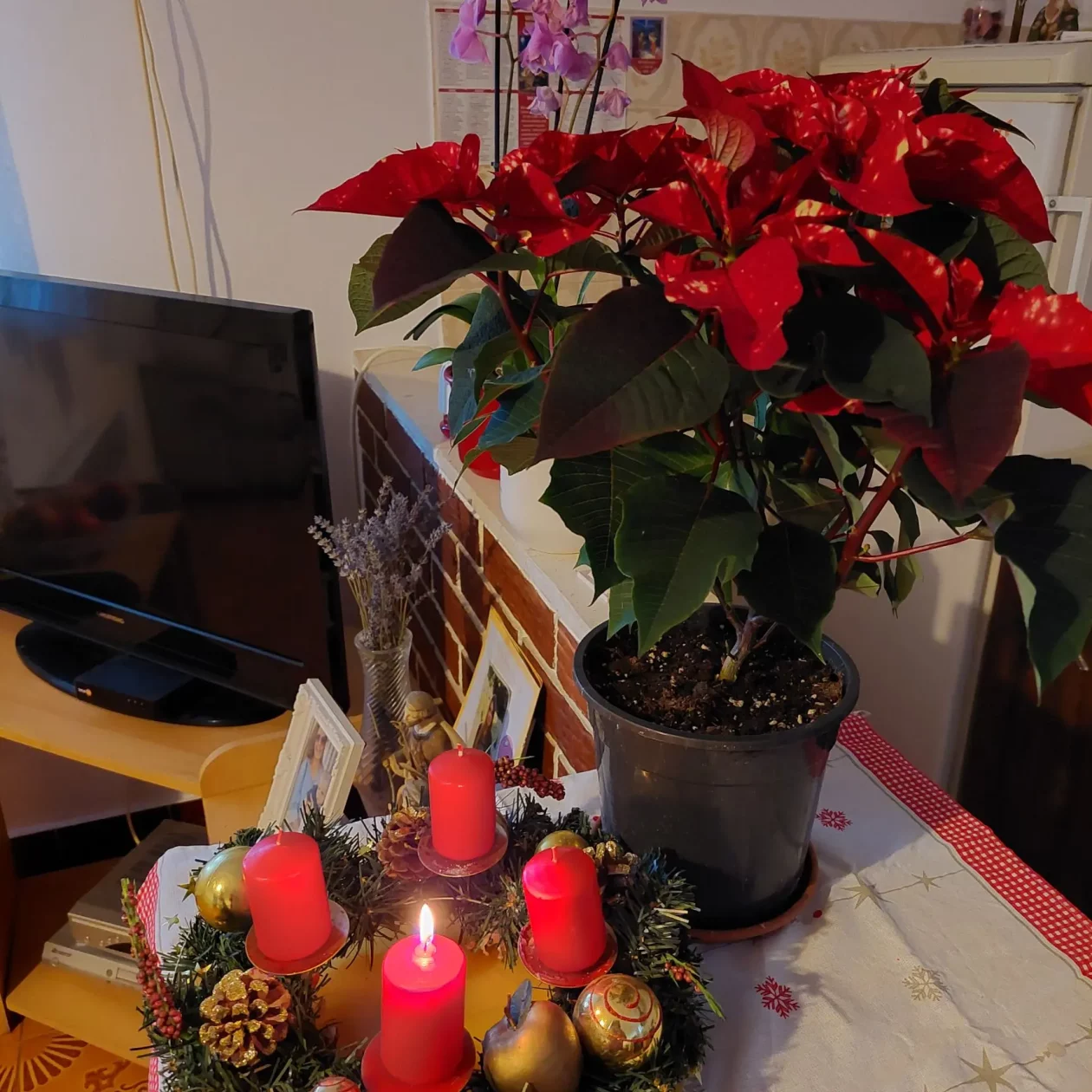 Adventski vijenac naših čitatelja – vijenčići naših čitatelja (62)