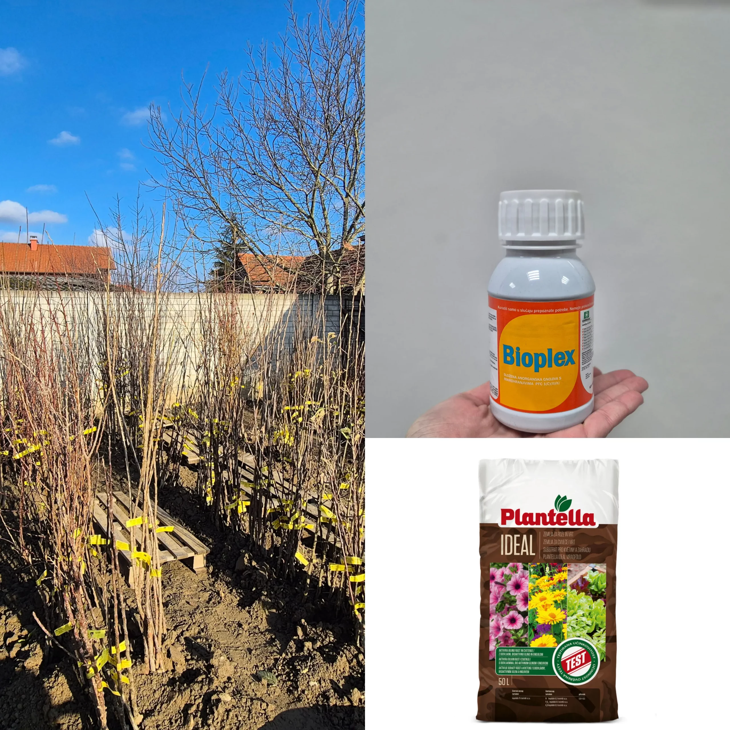 Agromartin (7) Agromartin (7)