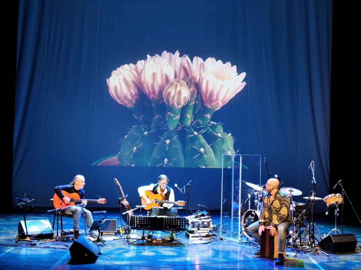 Al Di Meola održao koncert za pamćenje 2025 (11)