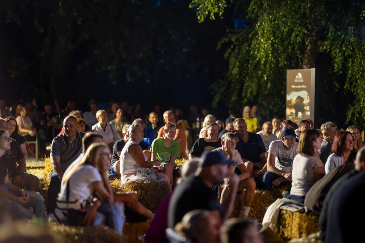 Aleksandar Lazić – mediji 10