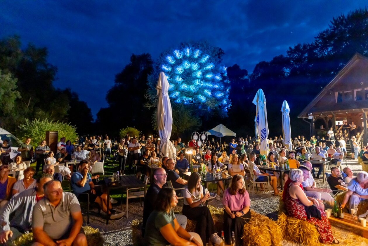 Aleksandar Lazić – mediji 17