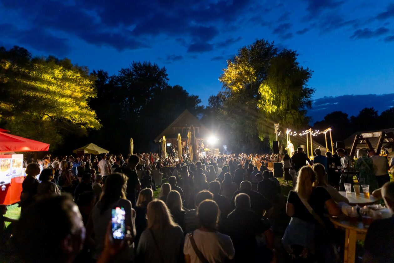 Aleksandar Lazić – mediji 18