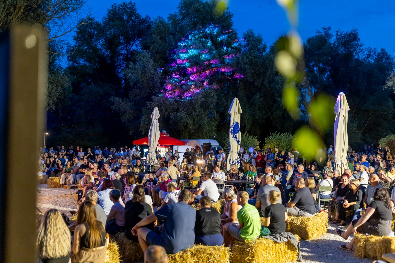 Aleksandar Lazić – mediji 2 Aleksandar Lazić – mediji 2