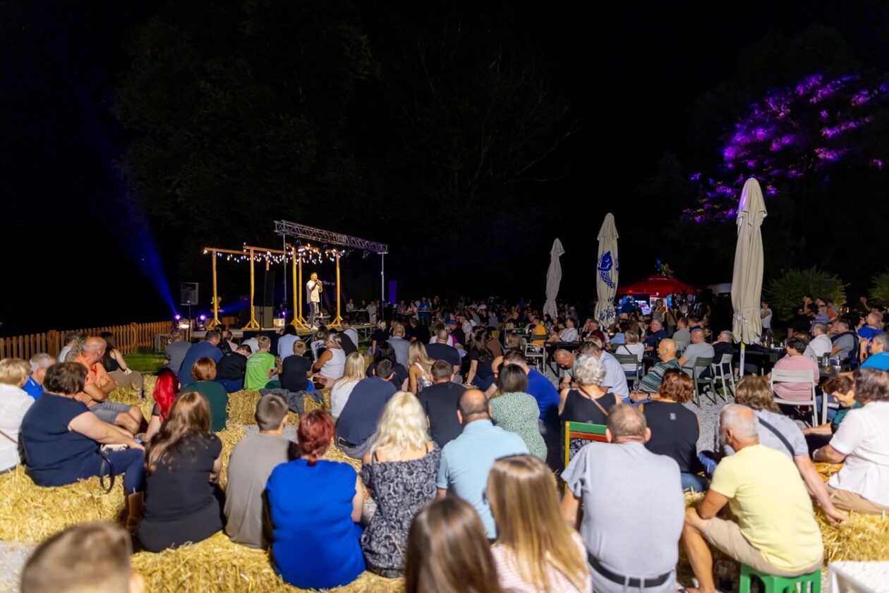 Aleksandar Lazić – mediji 21