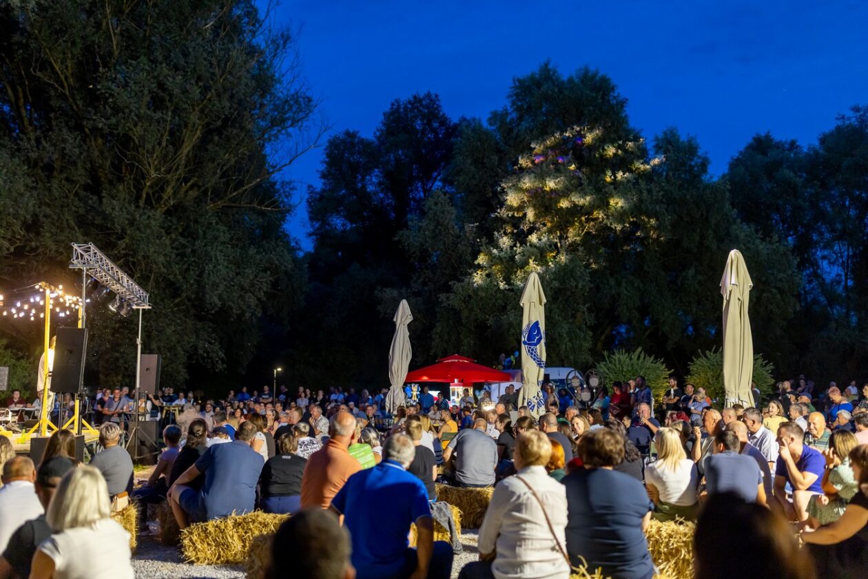 Aleksandar Lazić – mediji 3