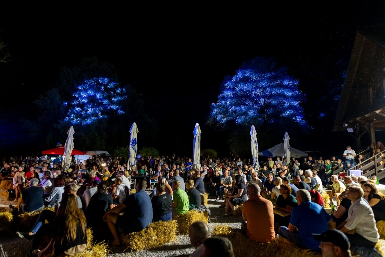 Aleksandar Lazić – mediji 33