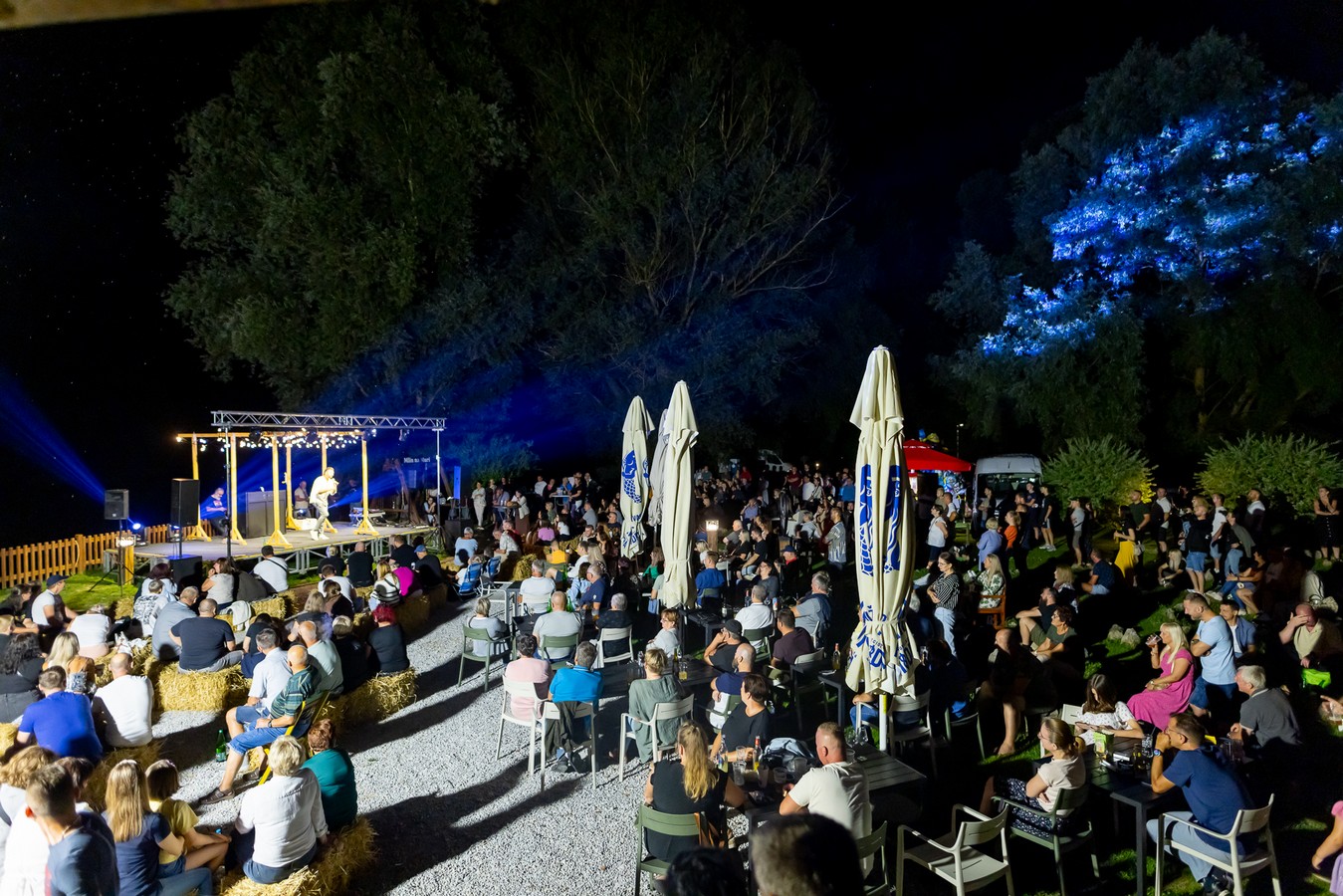 Aleksandar Lazić – mediji 36 Aleksandar Lazić – mediji 36