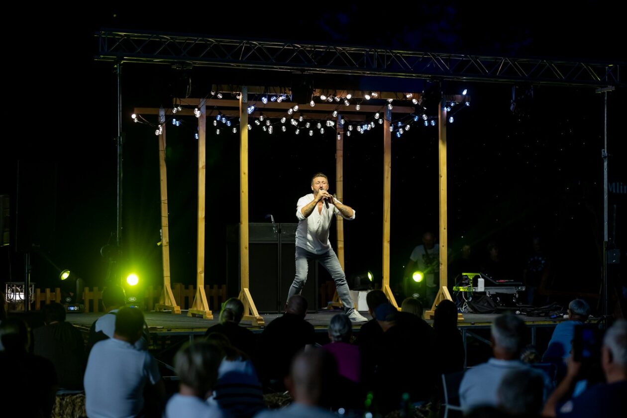 Aleksandar Lazić – mediji 4