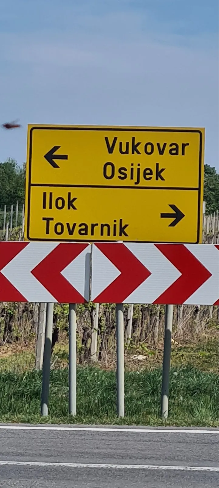Alen, Krstijan, Denis – Vukovar (1)