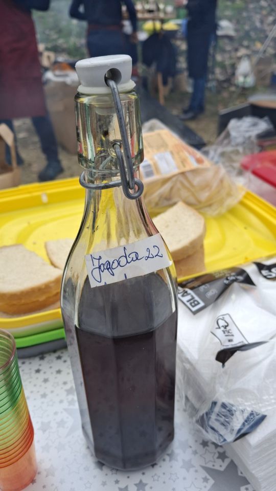 Amalija Petričević (4)