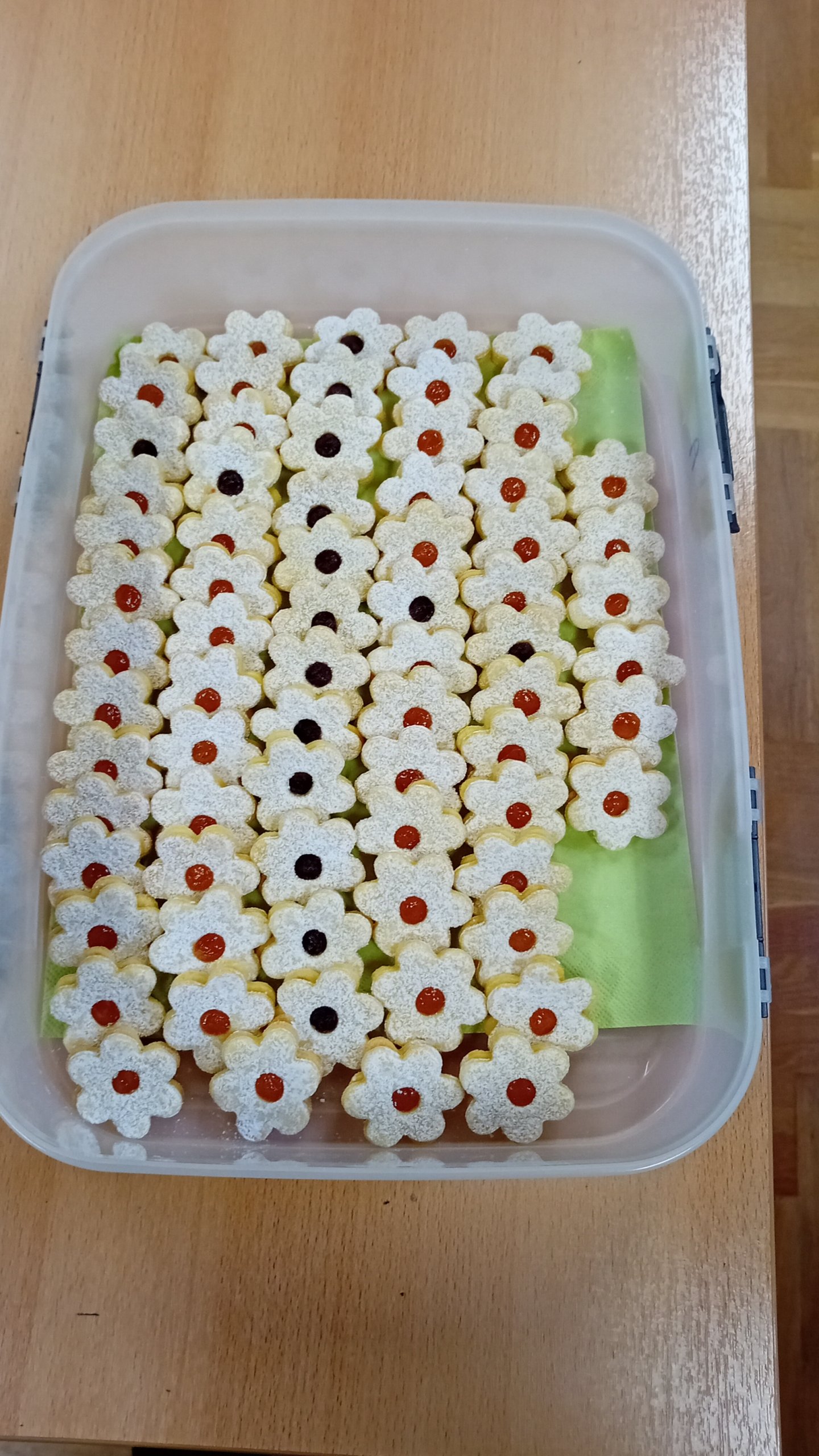Ana Dania iz Nedelišća (1)