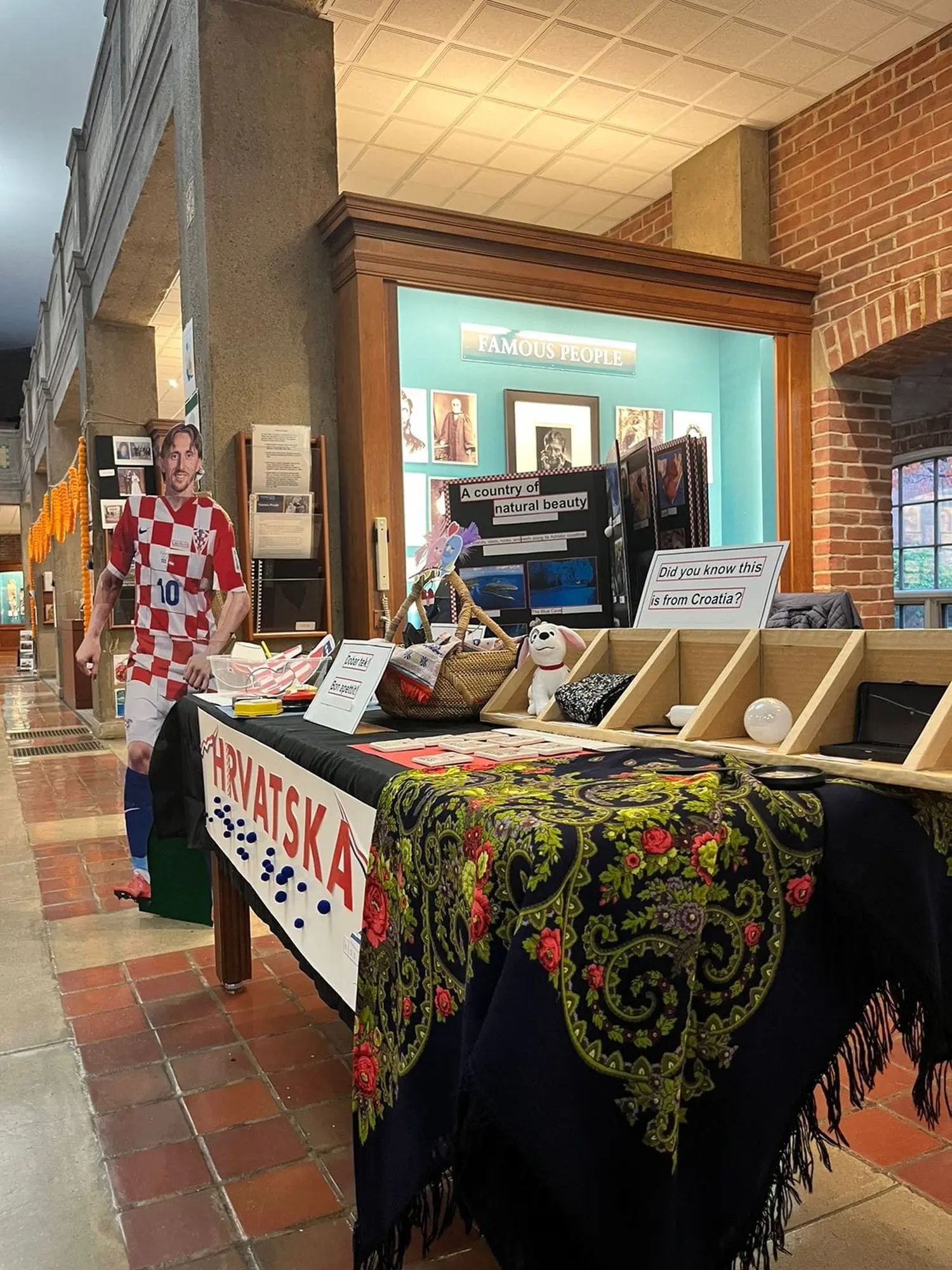 Ana Kraljić, Amerika (1)