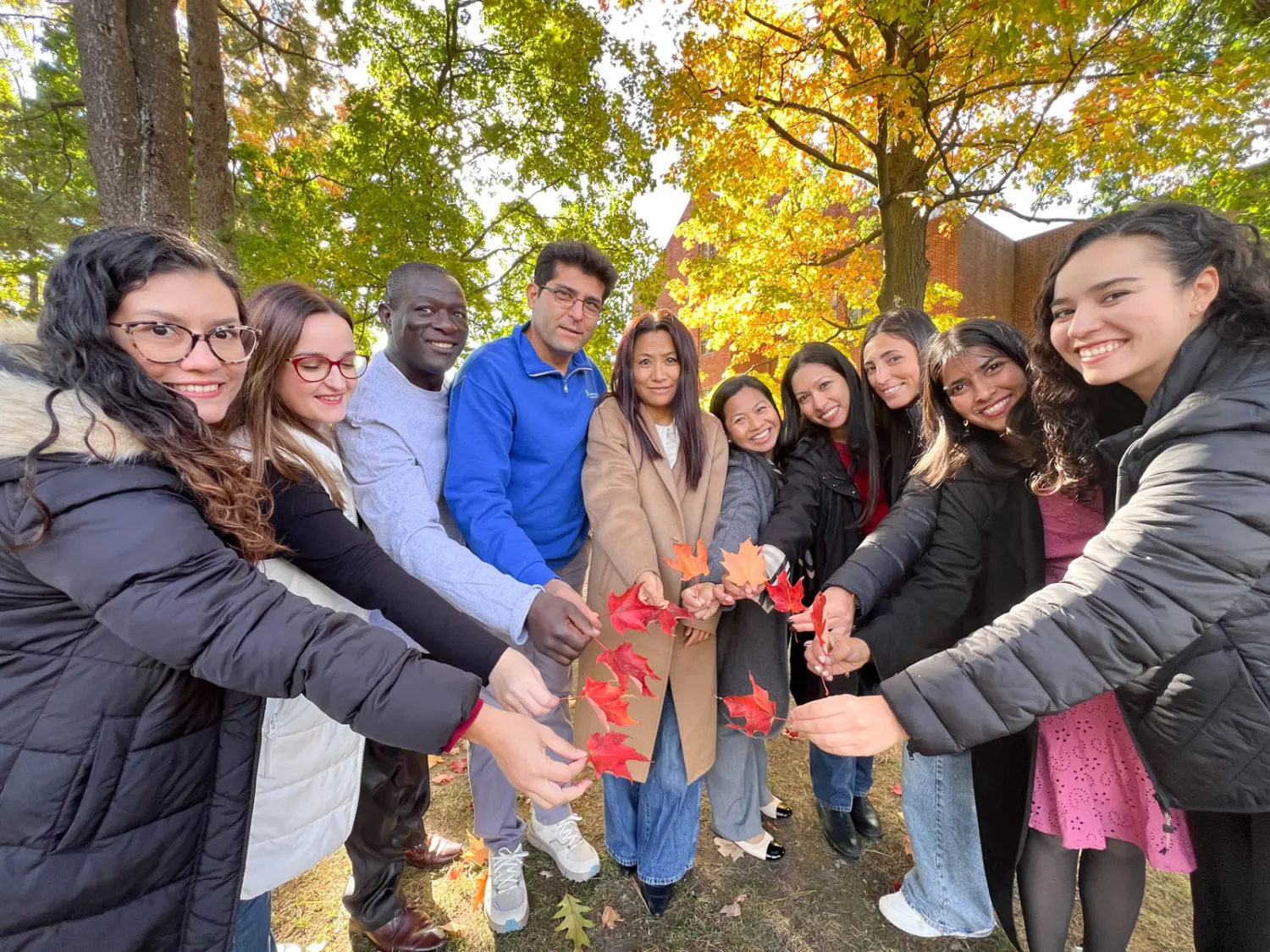 Ana Kraljić, Amerika (5)