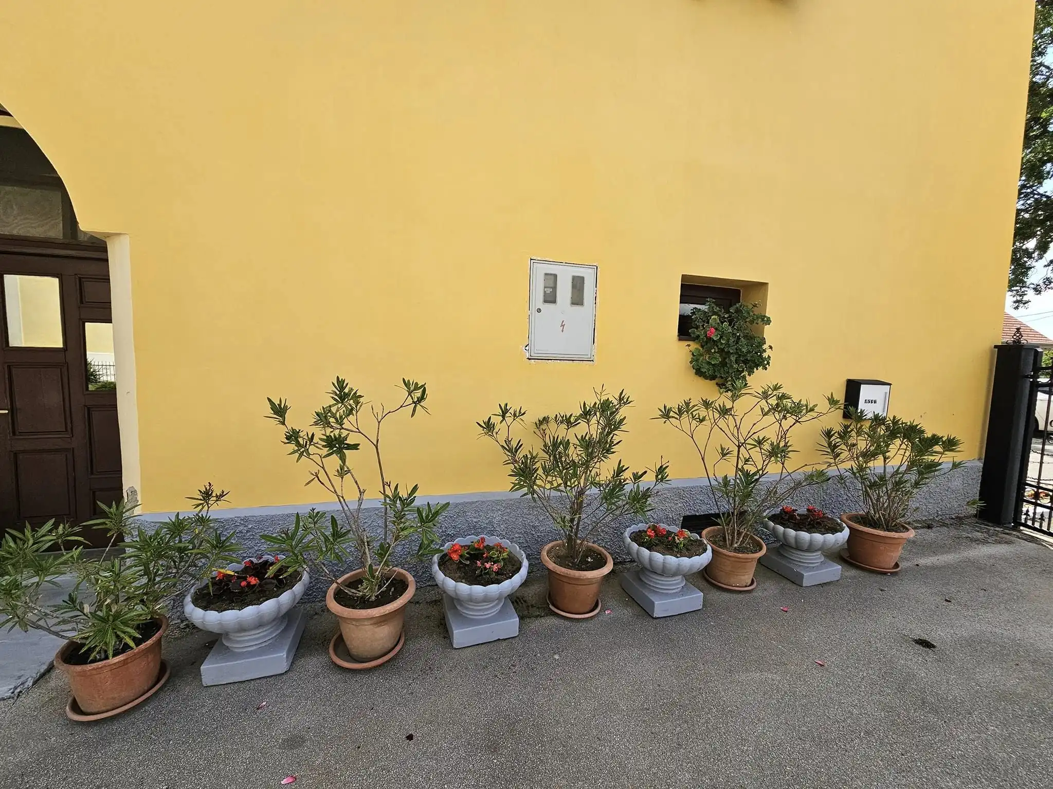 Ana Nestić Donji Vidovec – crkva i župni dvor (3) Ana Nestić Donji Vidovec – crkva i župni dvor (3)