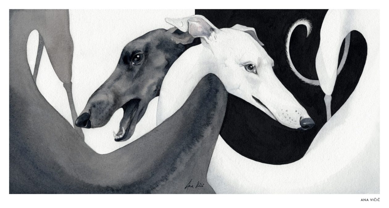 Ana Vičič Ana Vičič