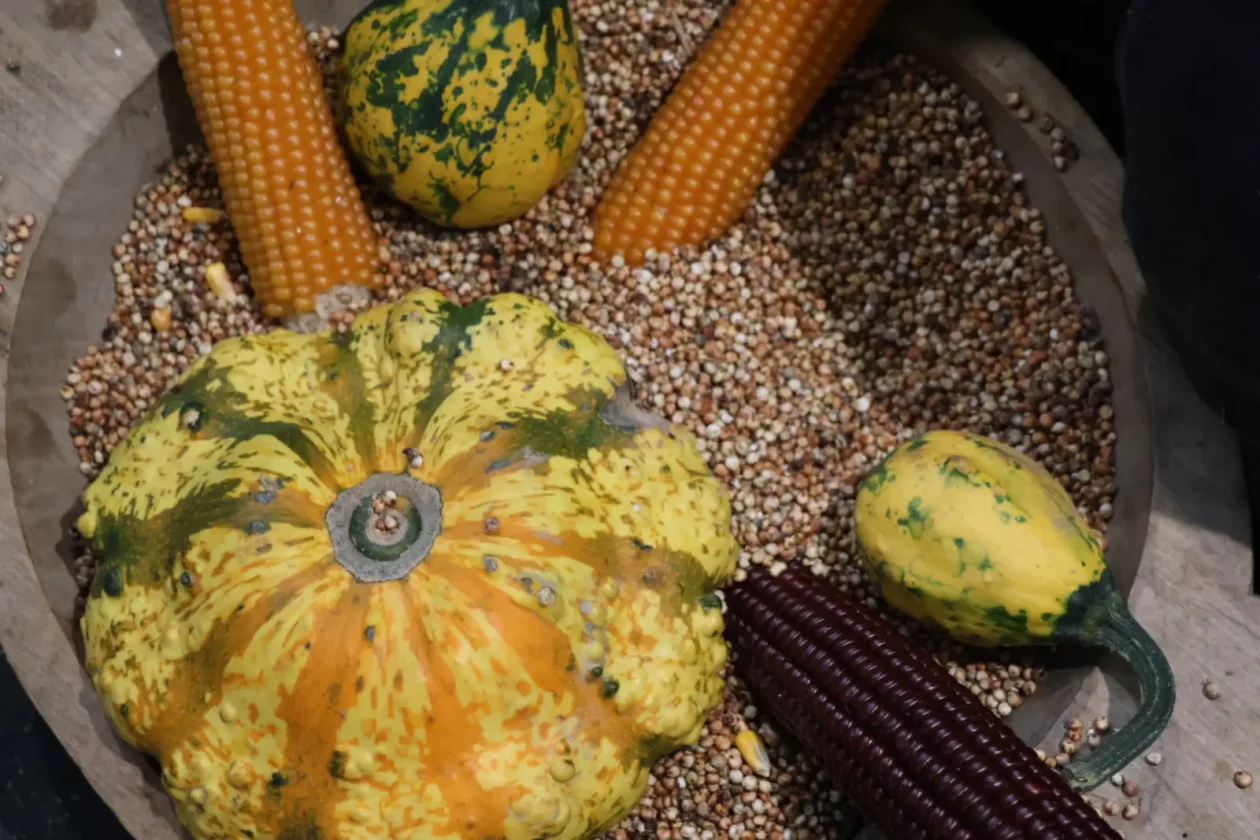 Anđelko Peranec, Donja Dubrava, baština, međimurski govor (5)