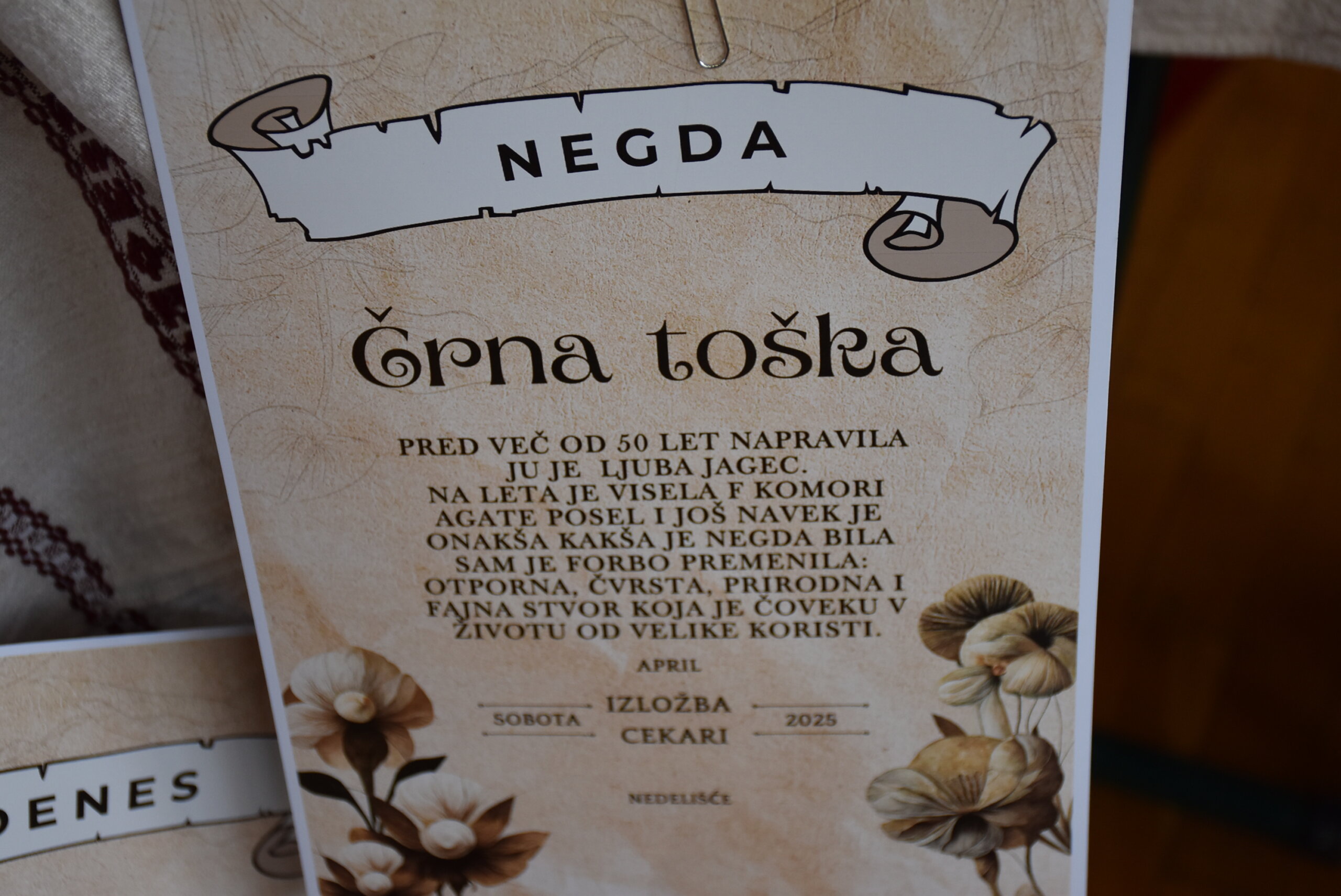 Anica Dania, Nedelišće (2) Anica Dania, Nedelišće (2)