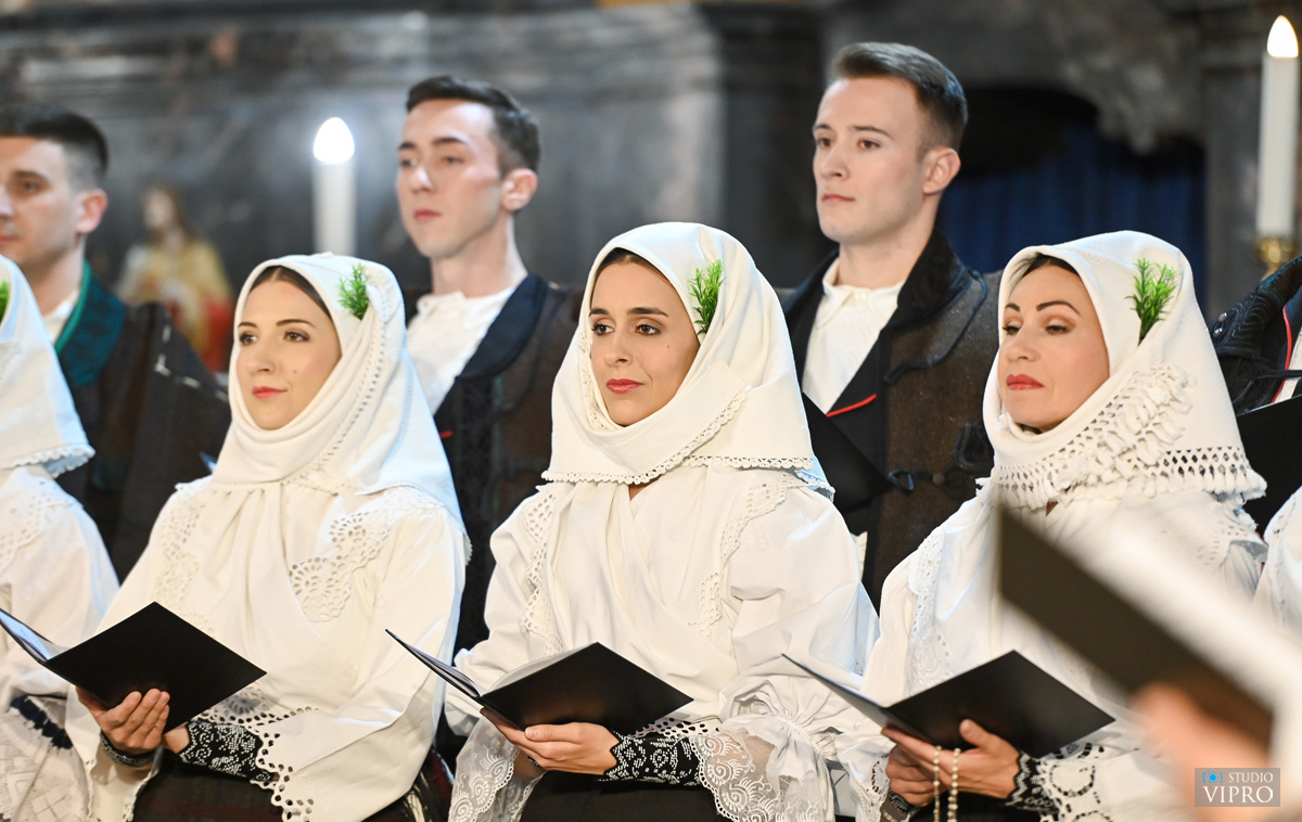 studio VIPRO Ansambl Lado Prelog 2025 (22)