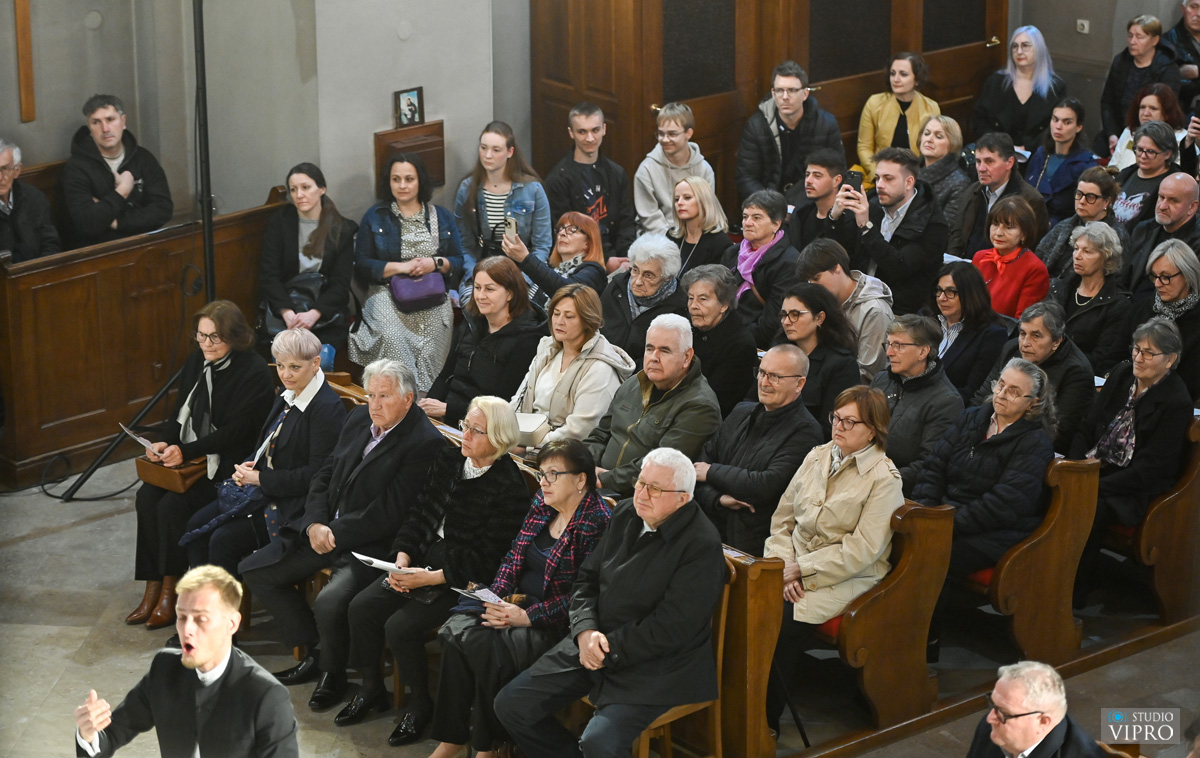 studio VIPRO studio VIPRO