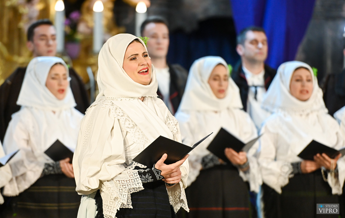 studio VIPRO studio VIPRO