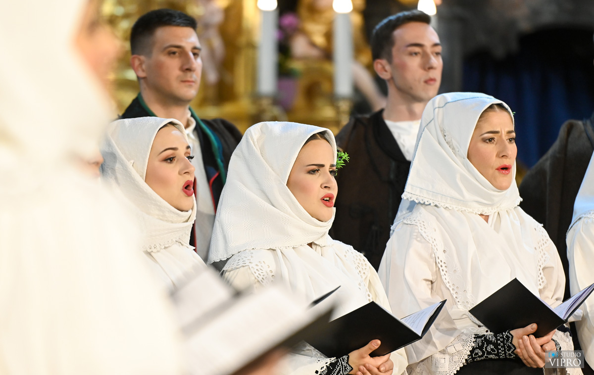 studio VIPRO studio VIPRO