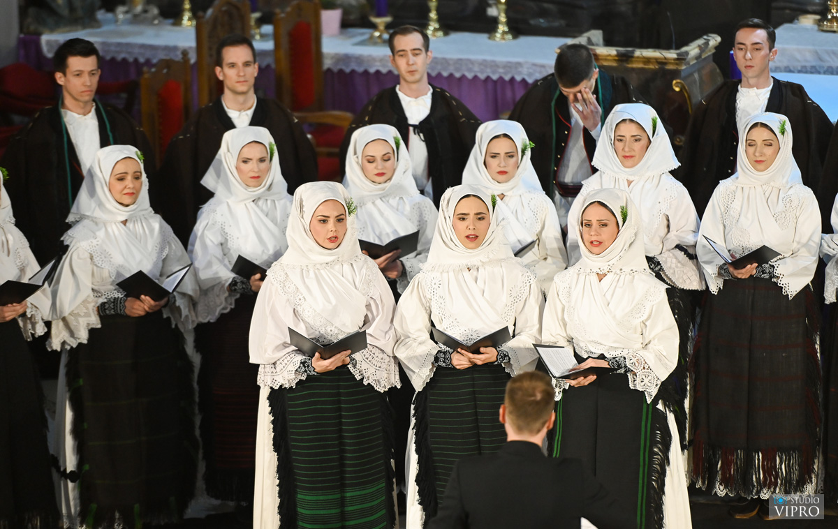 studio VIPRO studio VIPRO