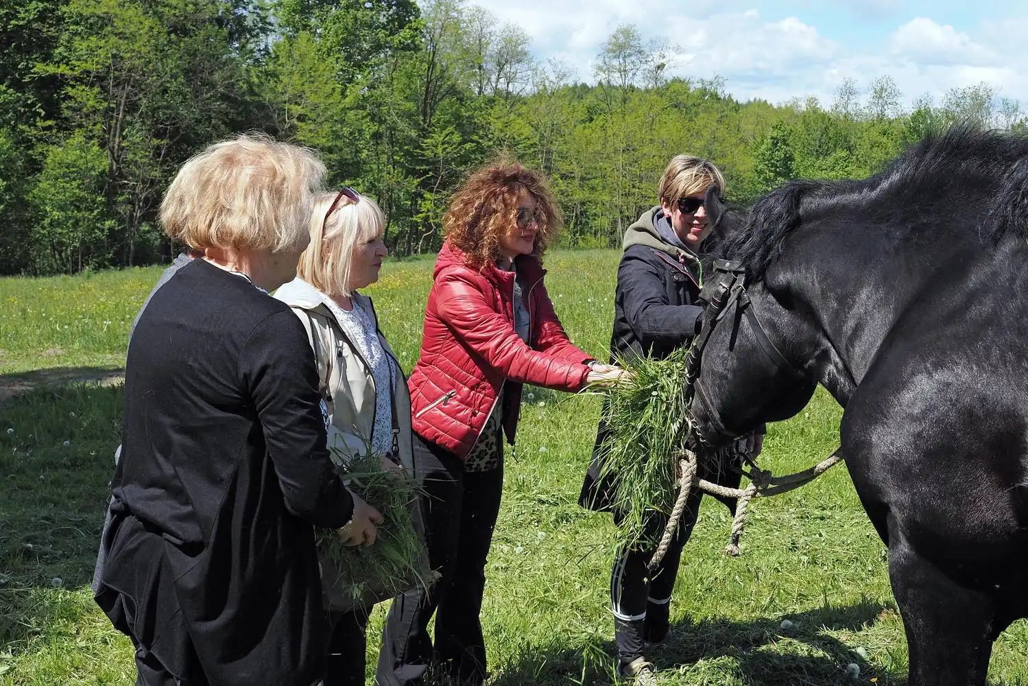 Antonela Malis- PG Geler