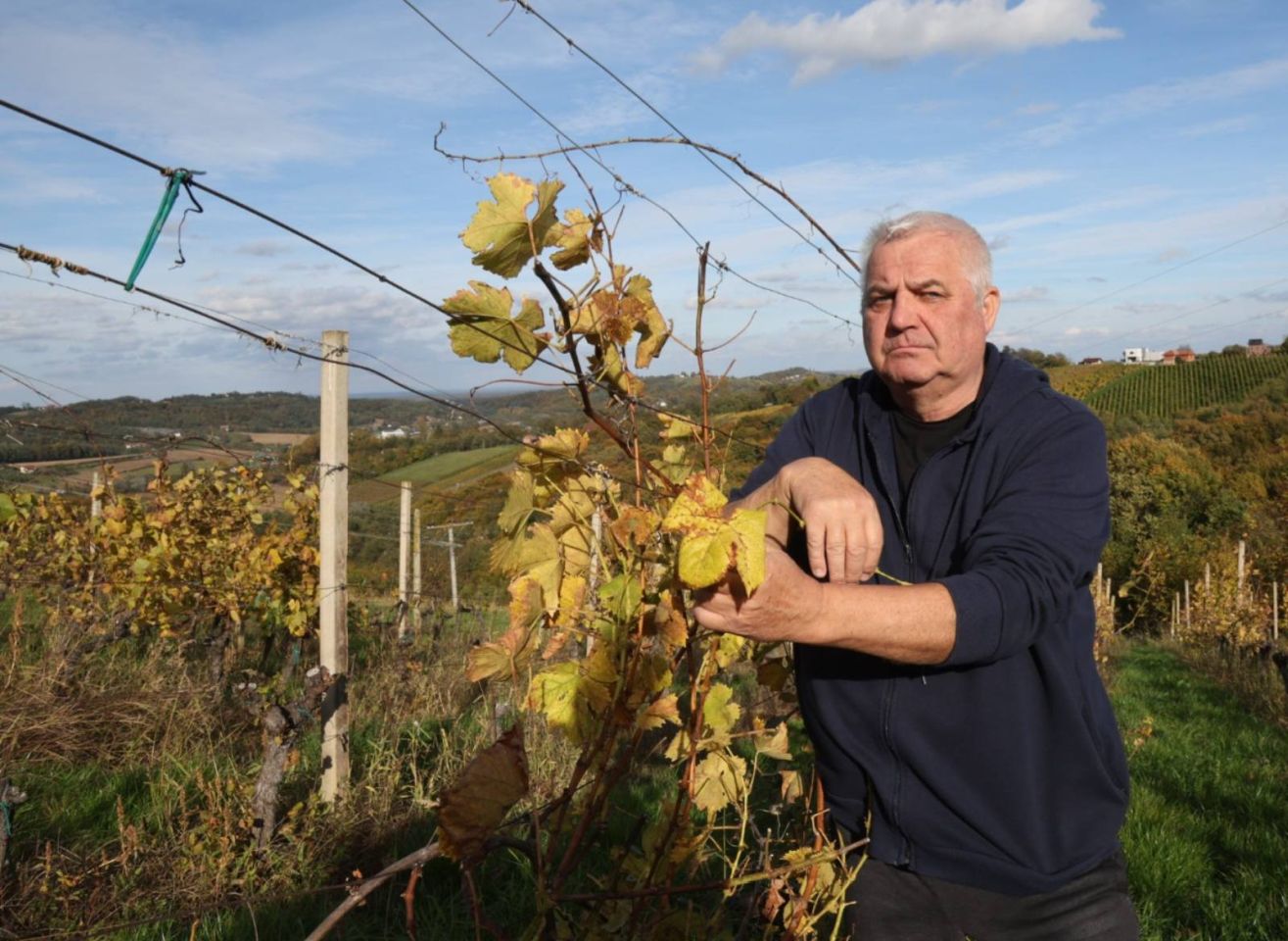 Antun Kojter (2) Antun Kojter (2)