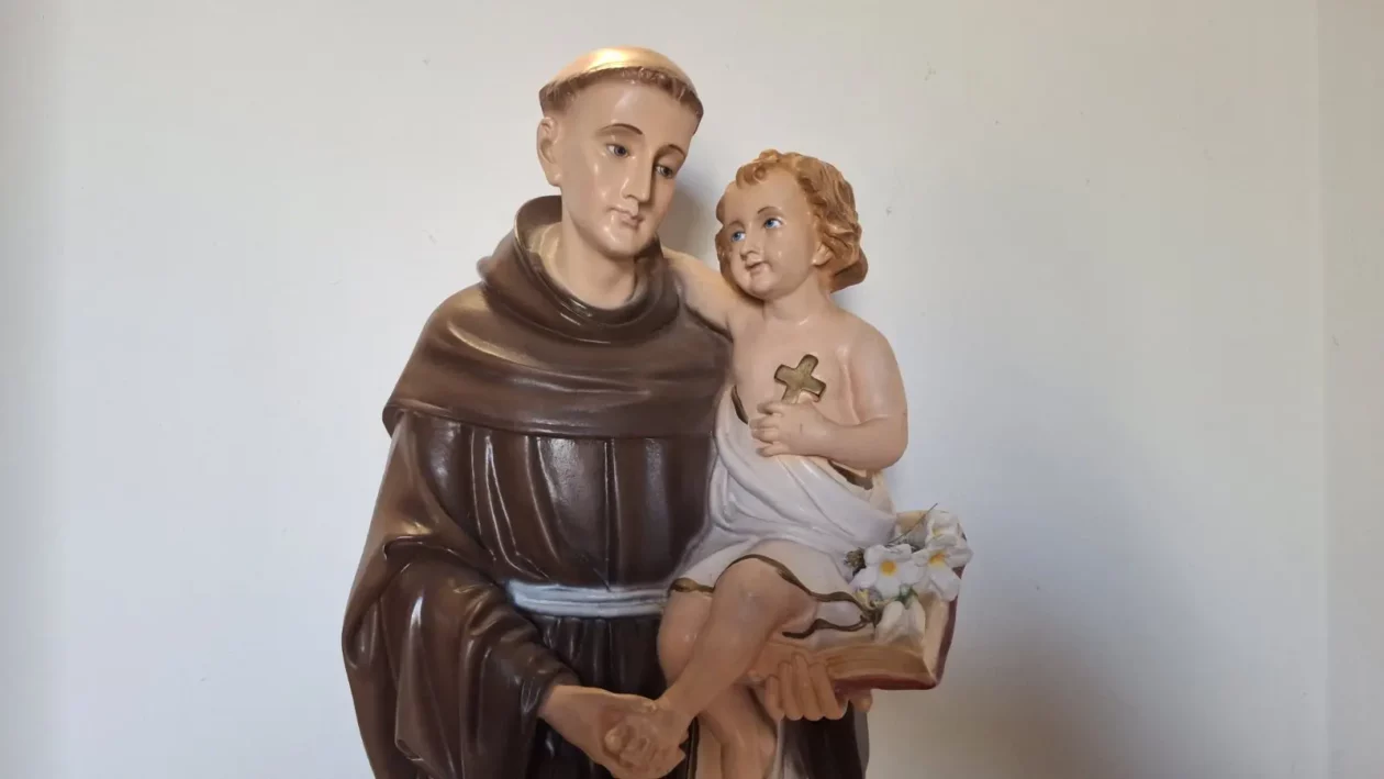 Antunovo, Čakovec, Jug, 13.6.2025 (12)