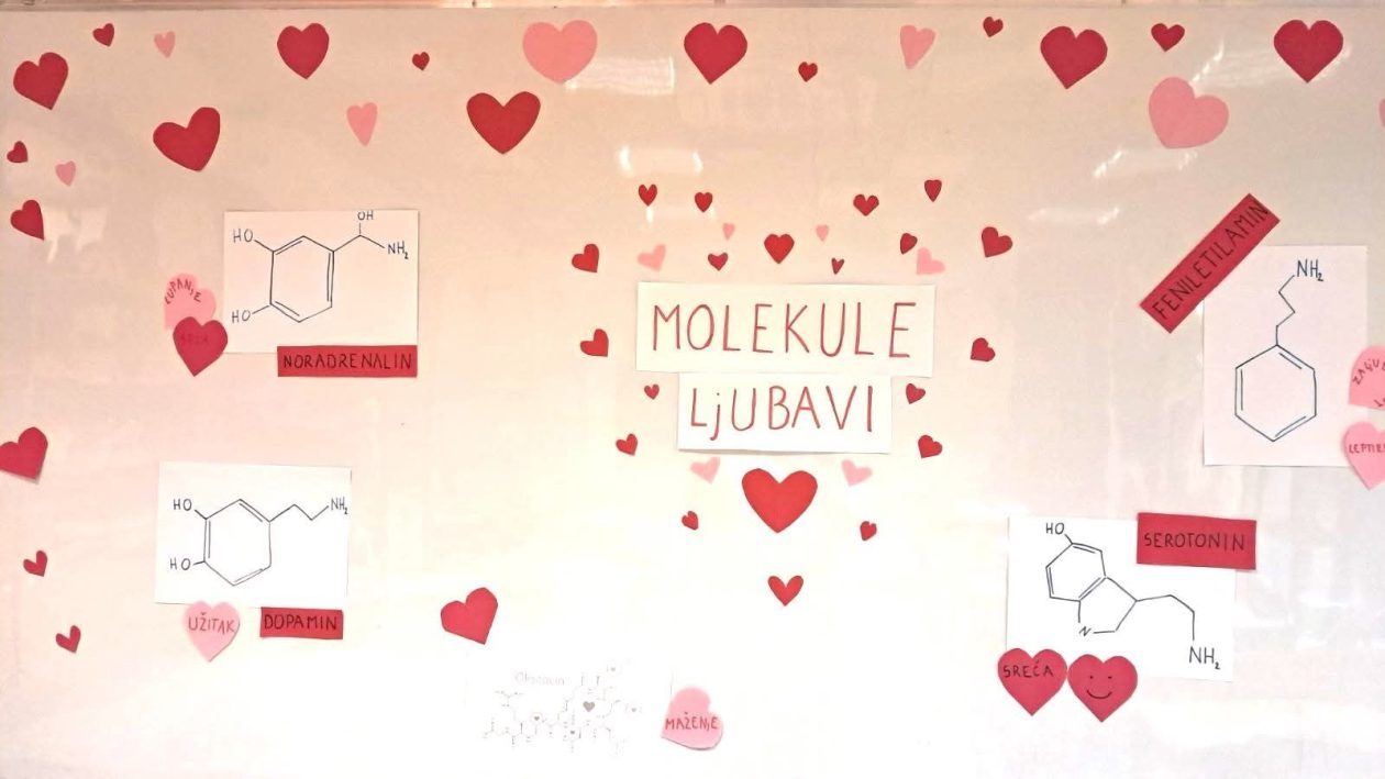 Aranžerski kutak 2026 Gospodarska škola Valentinovo (3)