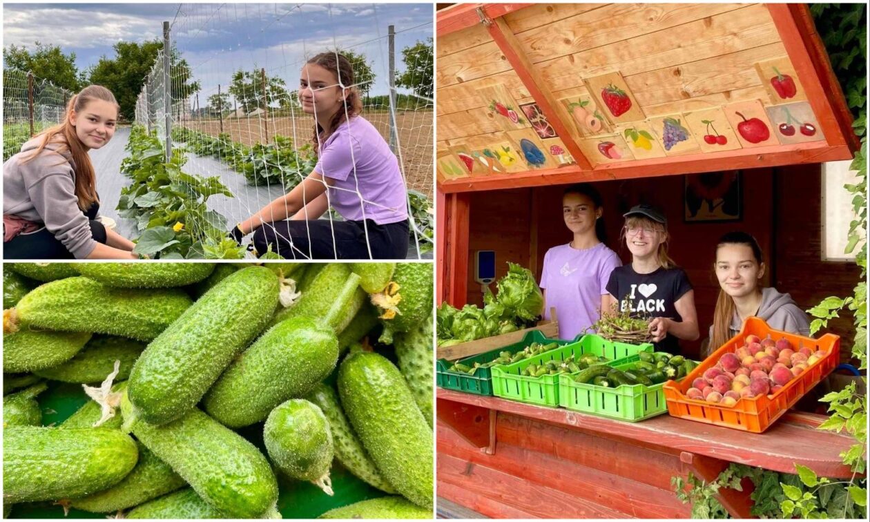 Aranžerski kutak gospodarska škola ČK (6)