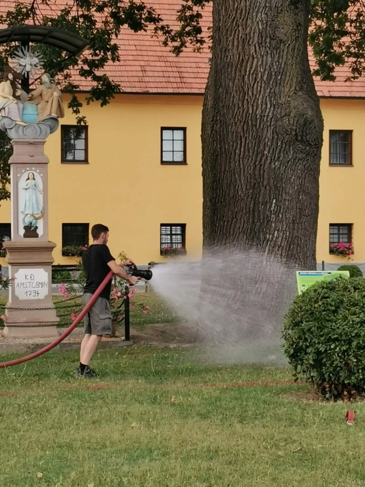 Arpad Donji Vidovec (2)