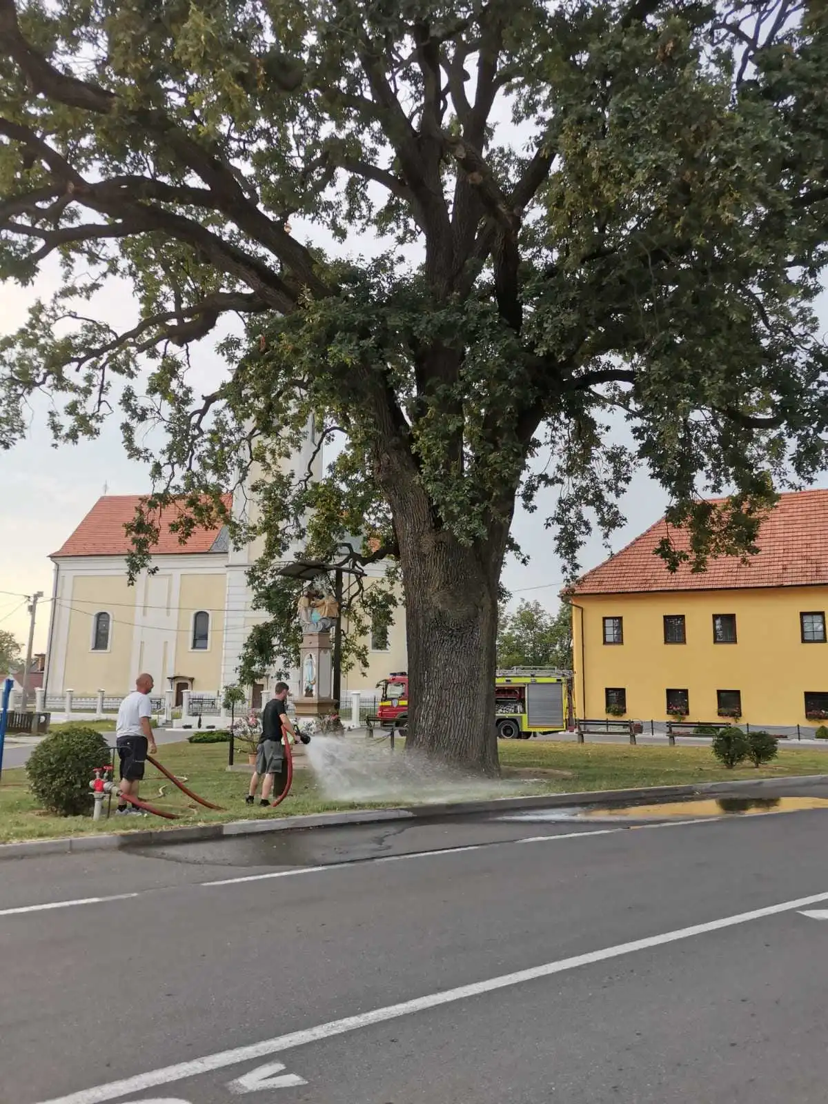 Arpad Donji Vidovec (7)