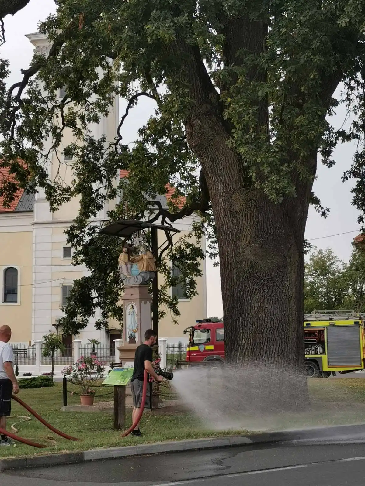 Arpad Donji Vidovec (8)