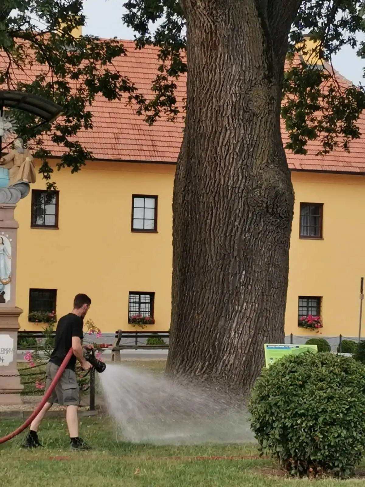 Arpad Donji Vidovec (9)