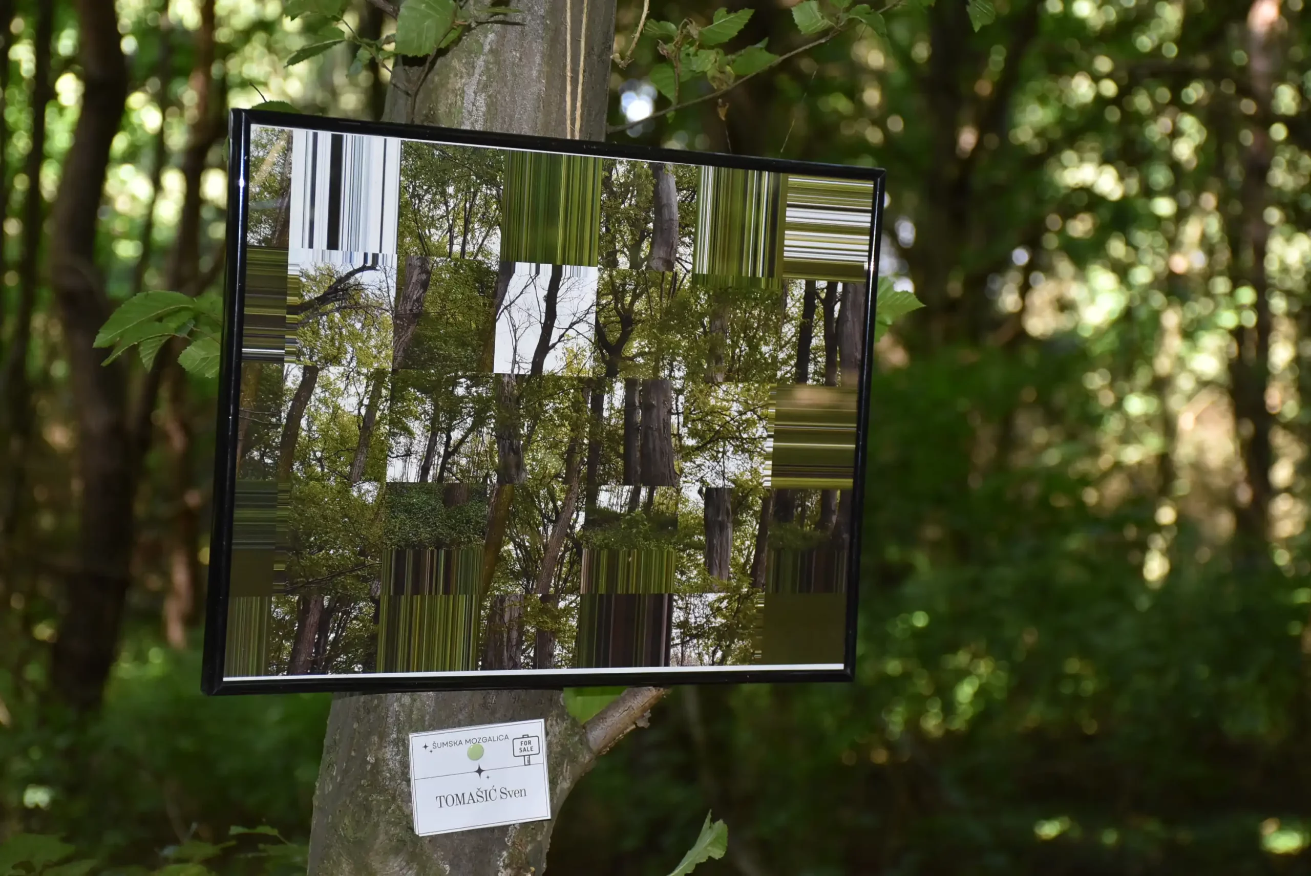 Art forest Nedelišće 2024 (47) Art forest Nedelišće 2024 (47)