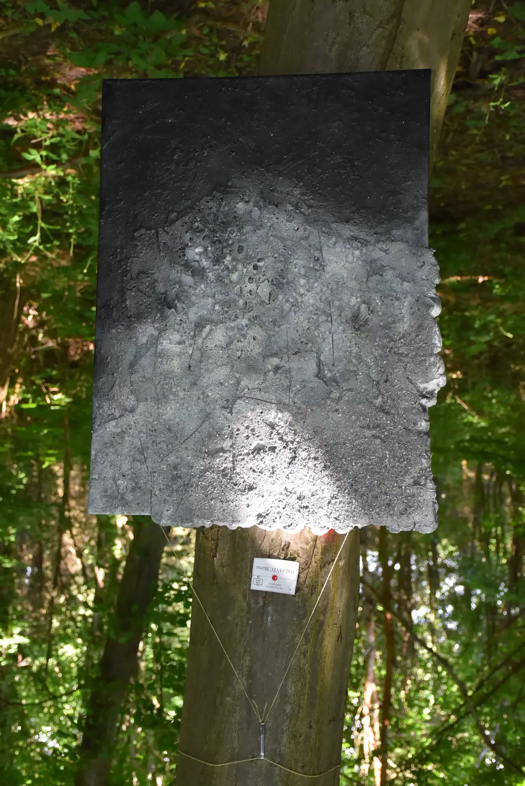 Art forest Nedelišće 2024 (48) Art forest Nedelišće 2024 (48)