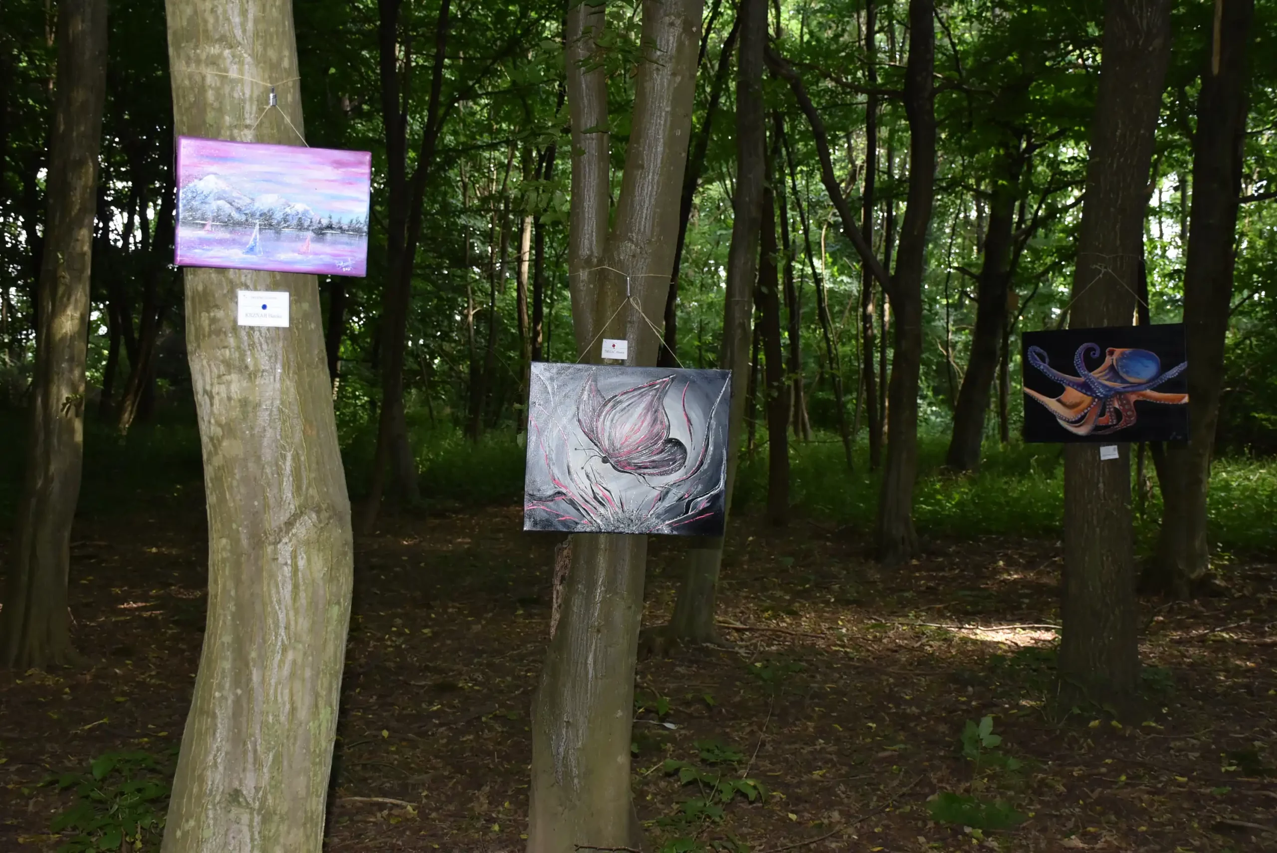 Art forest Nedelišće 2024 (51) Art forest Nedelišće 2024 (51)