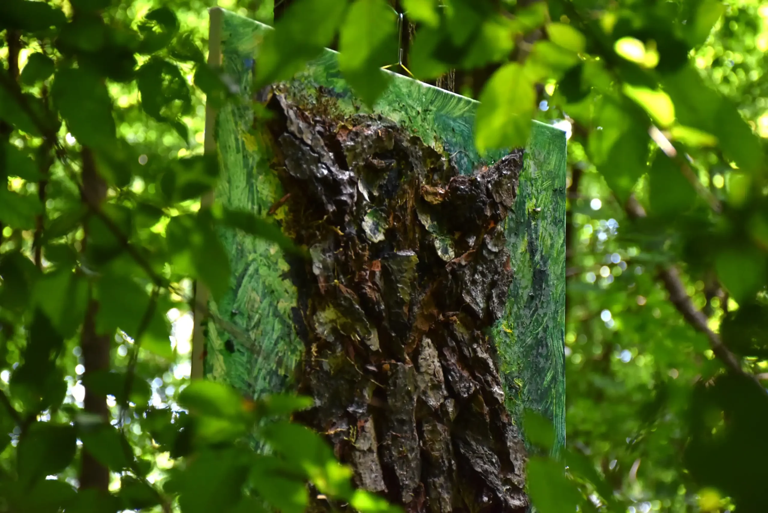 Art forest Nedelišće 2024 (58) Art forest Nedelišće 2024 (58)