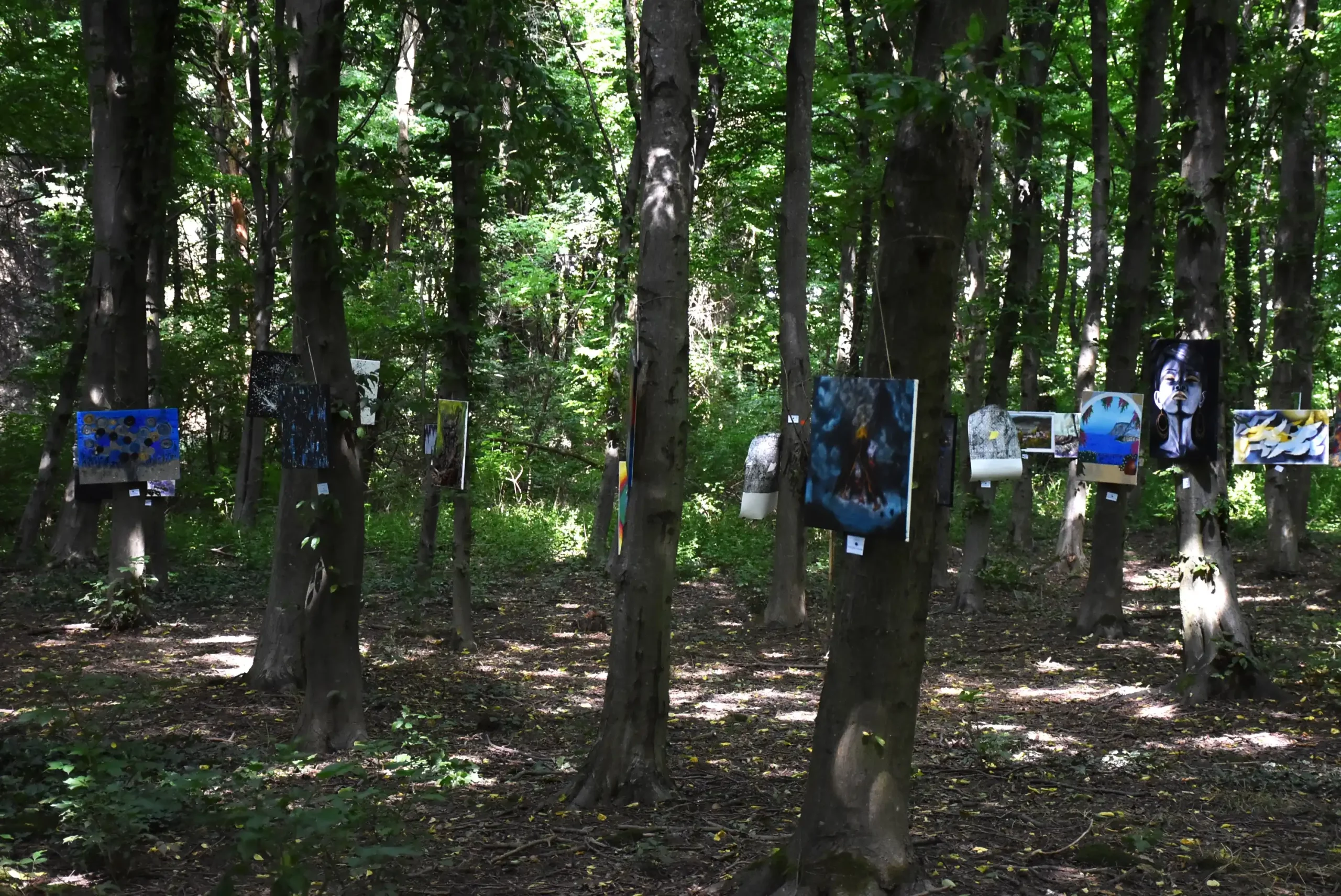 Art forest Nedelišće 2024 (59) Art forest Nedelišće 2024 (59)
