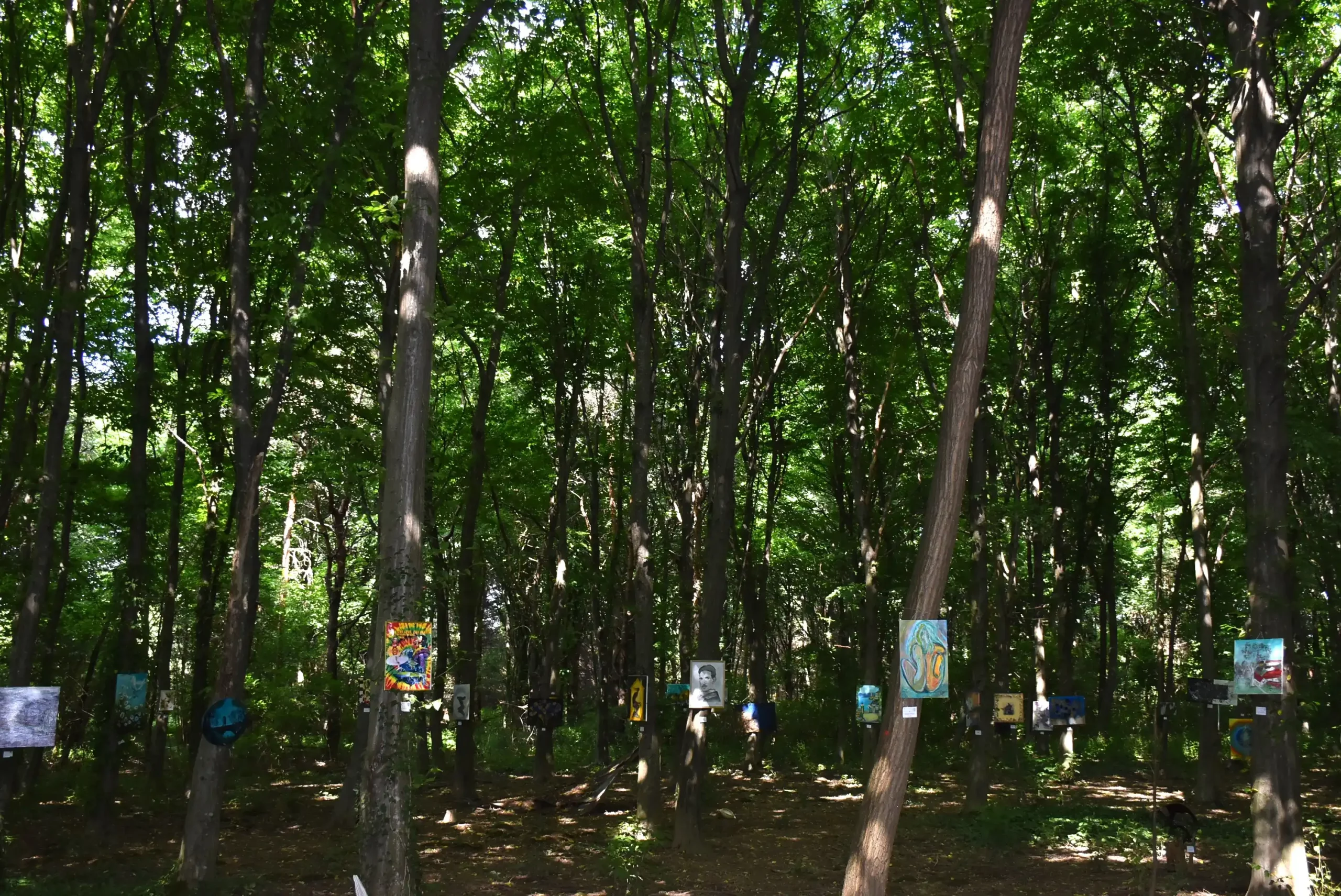 Art forest Nedelišće 2024 (64) Art forest Nedelišće 2024 (64)