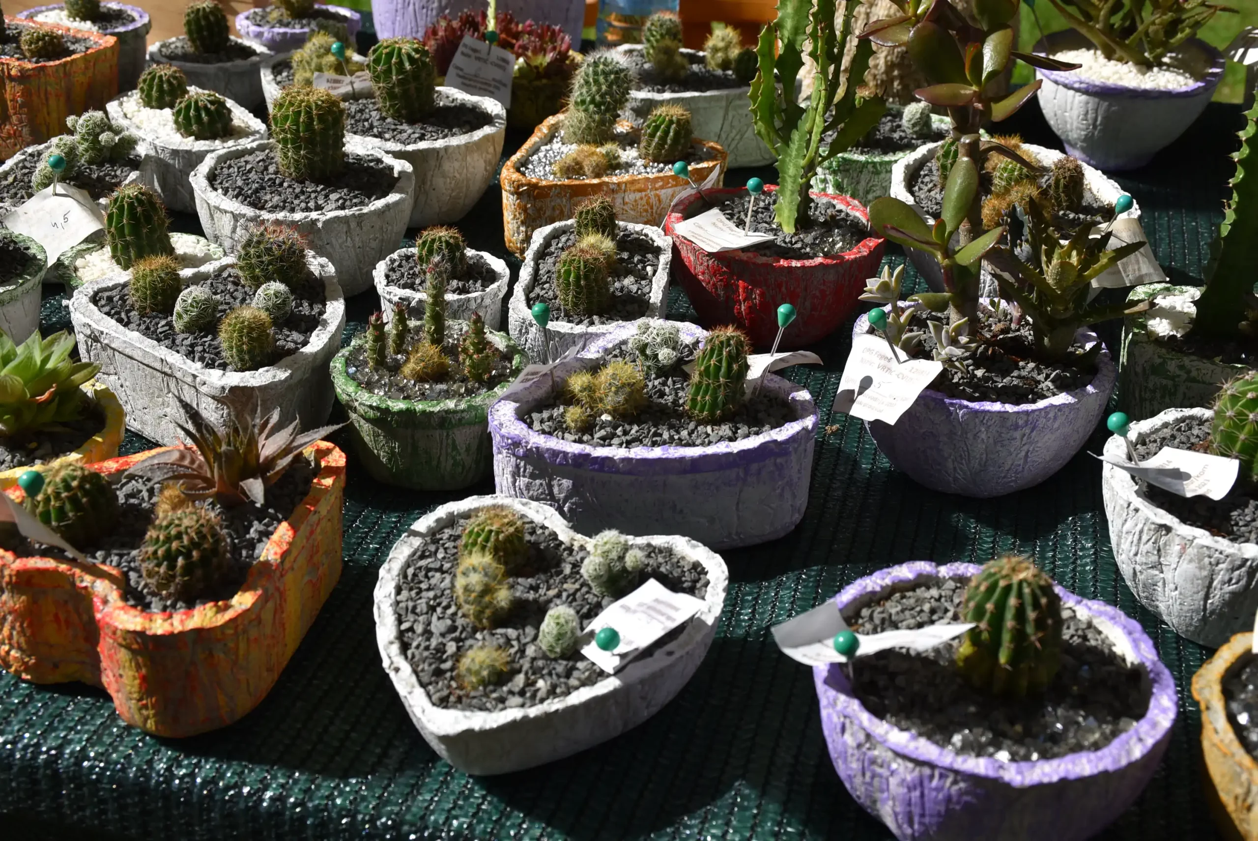 Art forest Nedelišće 2024 (7) Art forest Nedelišće 2024 (7)