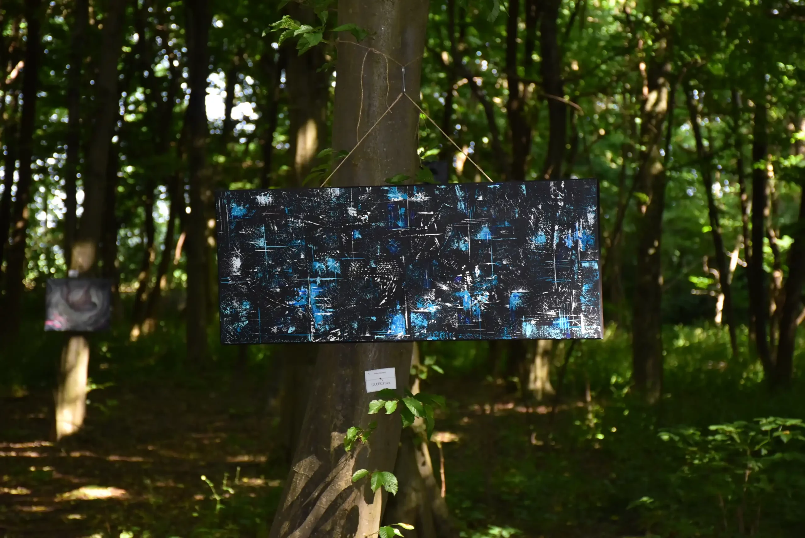 Art forest Nedelišće 2024 (79) Art forest Nedelišće 2024 (79)