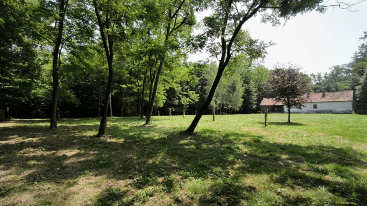 Art kamp nedelišće (2)