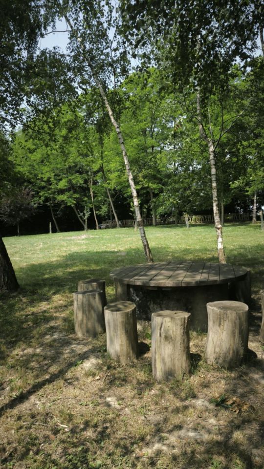 Art kamp nedelišće (3)