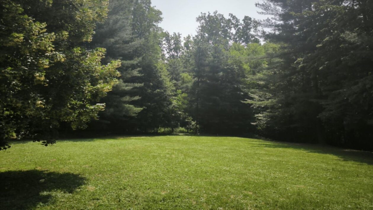 Art kamp nedelišće (5)